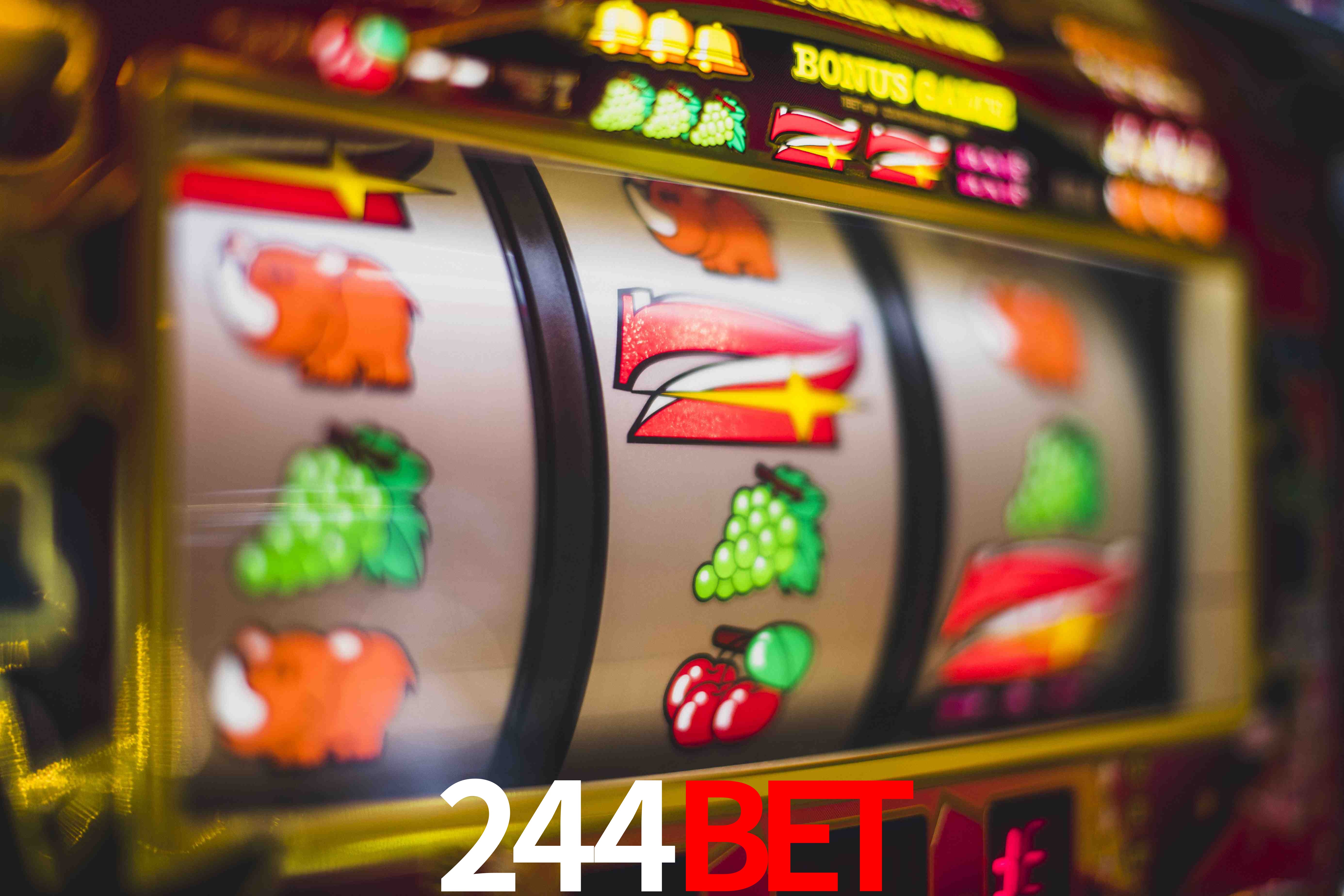 VIP Casino 244bet
